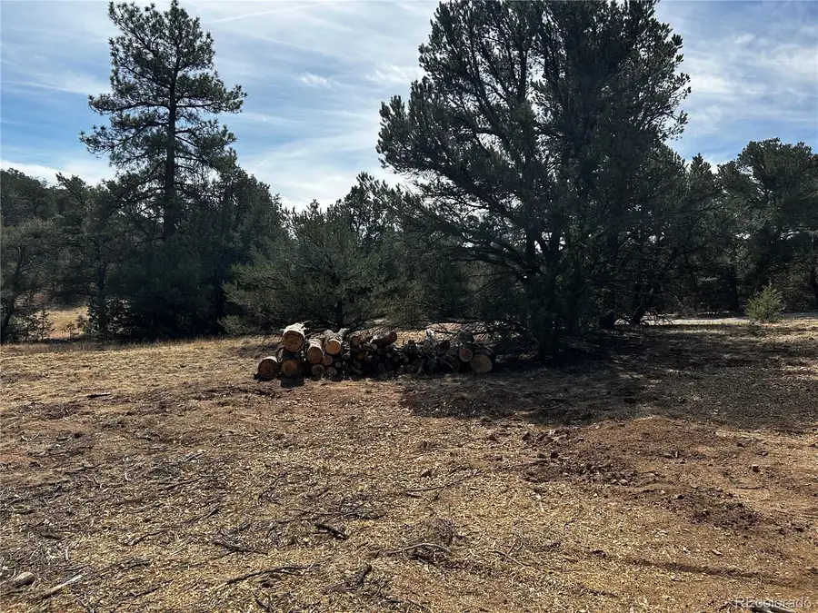 2065 Indian Wells Road, Cotopaxi, CO 81223 - #3