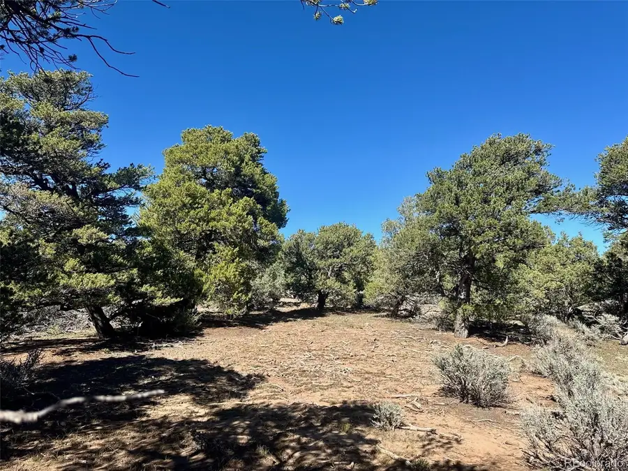 36 AC Elk Park, San Luis, CO 81152 - #3