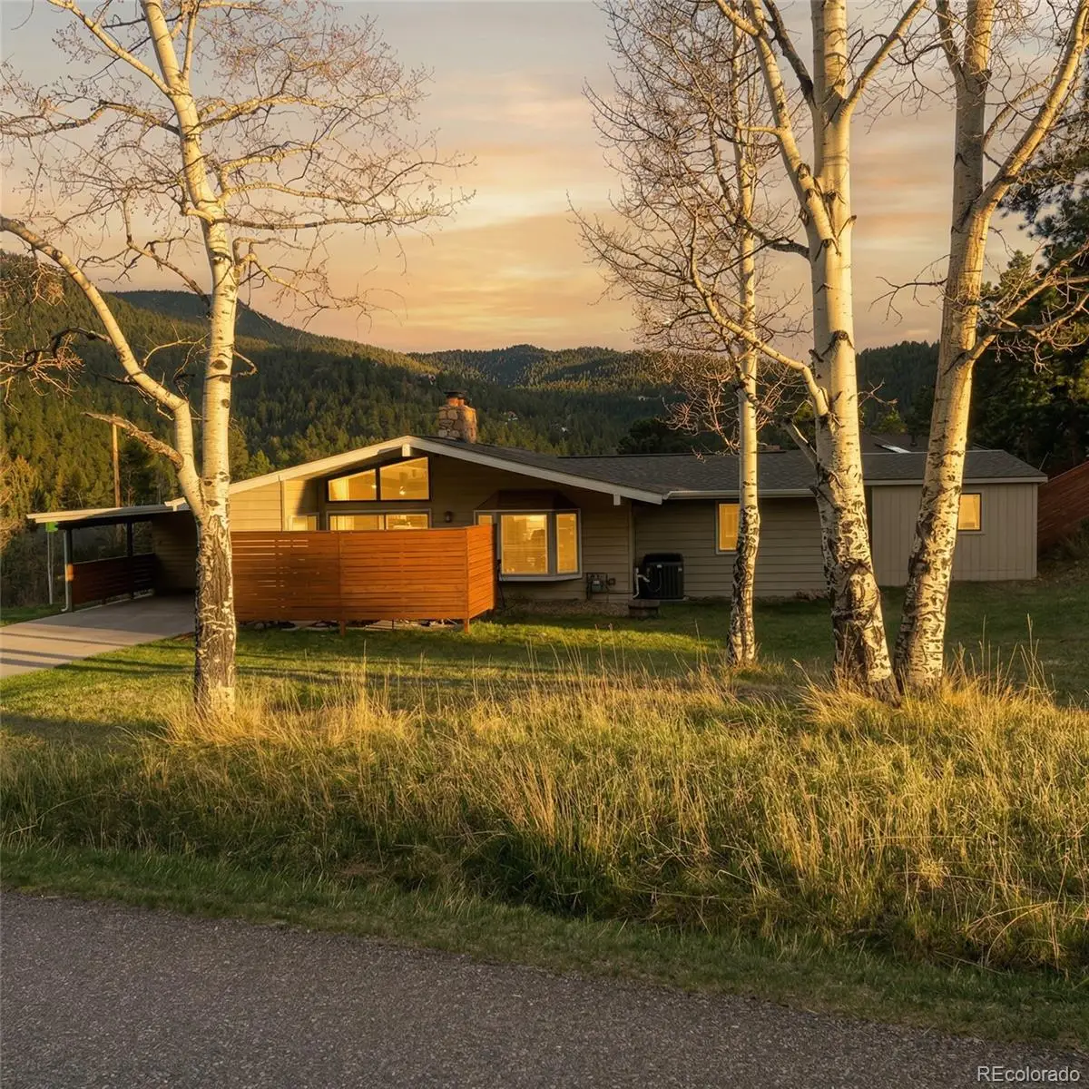 27976 Lupine Drive, Evergreen, CO 80439 - #1