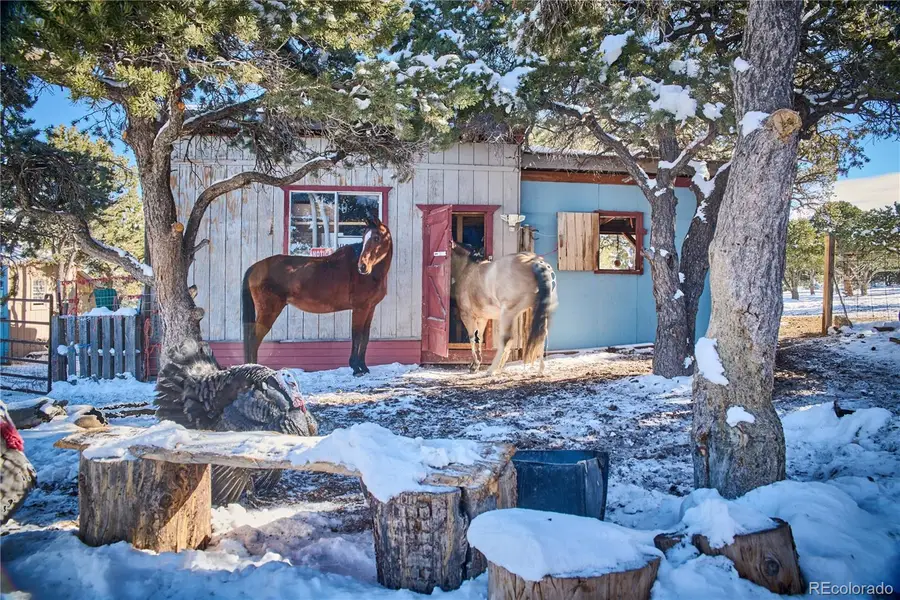 1877 Wilking Road, Fort Garland, CO 81133 - Image #3