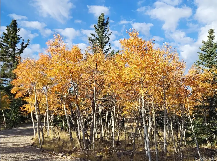 60 Mesa Court, Como, CO 80432 - Image #3