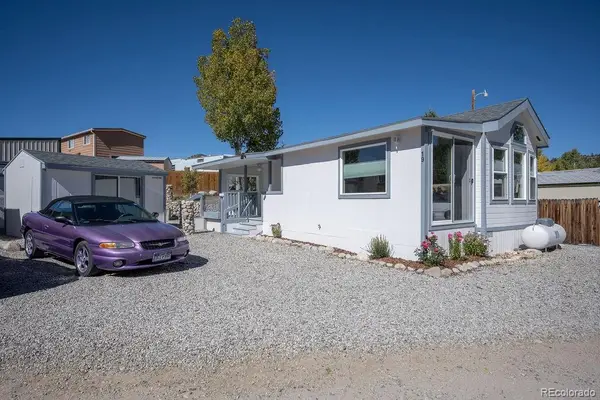 10795 County Road 197a #19, Nathrop, CO 81236