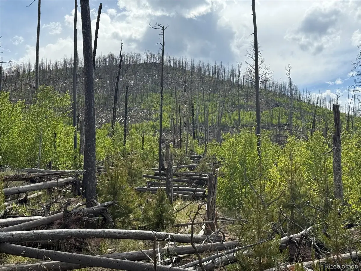 Lot 1996 Strauss Lane, Fort Garland, CO 81133 - #1