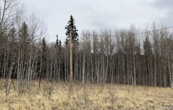 688 Ouray Trail, Como, CO 80432