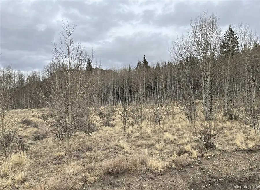 688 Ouray Trail, Como, CO 80432 - #3