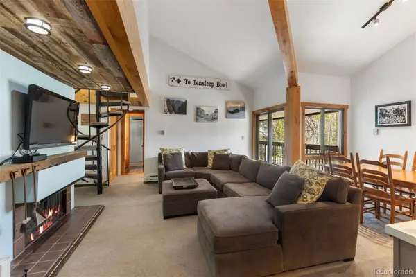 393 Wild Irishman Road #1066, Keystone, CO 80435