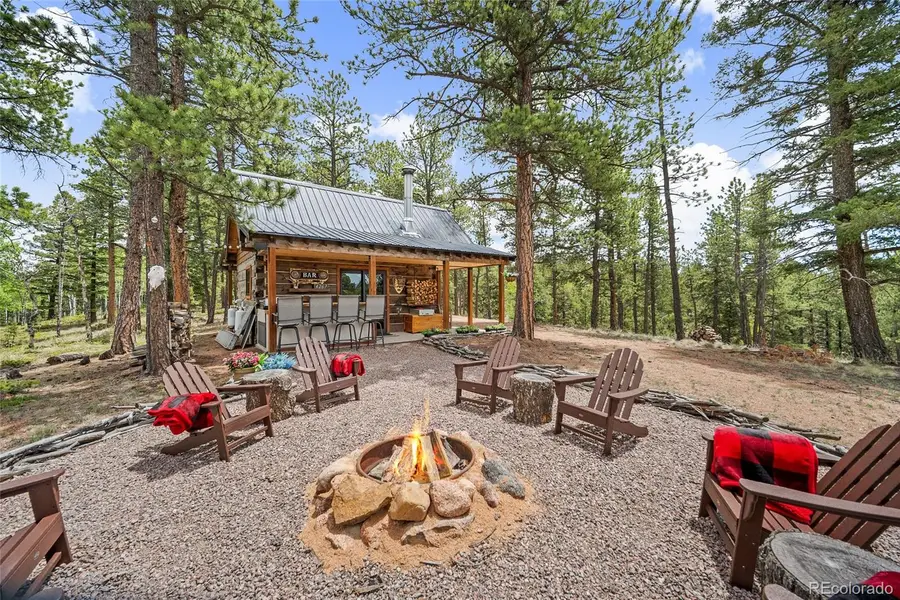 4267 County Road 51, Divide, CO 80814 - #3