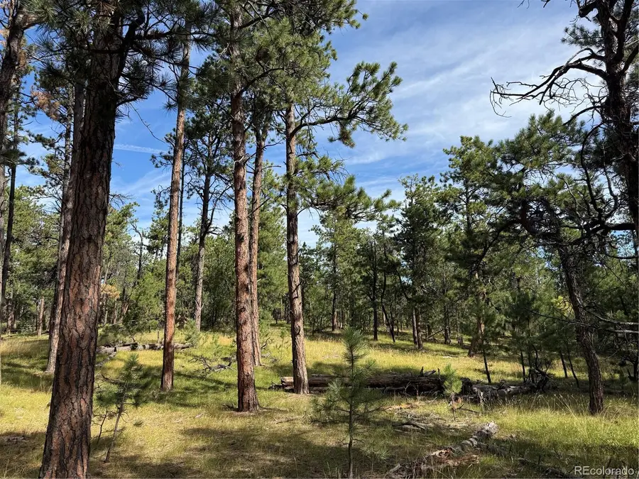 17405 E Goshawk, Colorado Springs, CO 80908 - Image #2