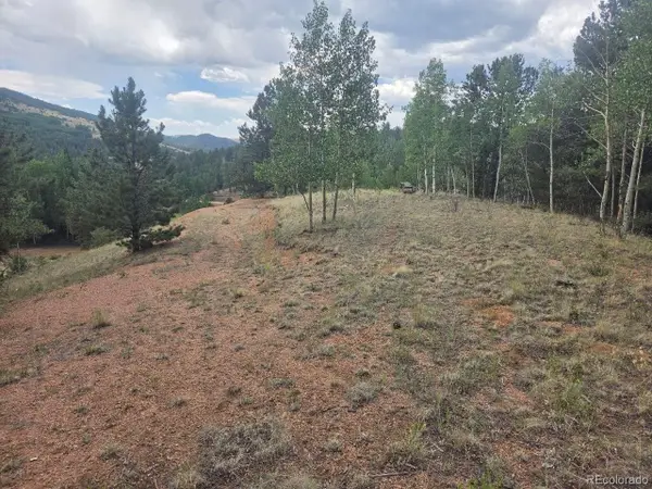 1124 Yorktown Road, Cripple Creek, CO 80813