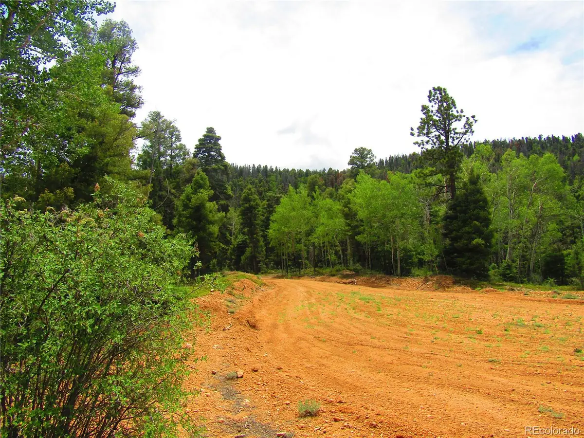 Lot 6028 Spruce Roads, San Luis, CO 81152 - #1