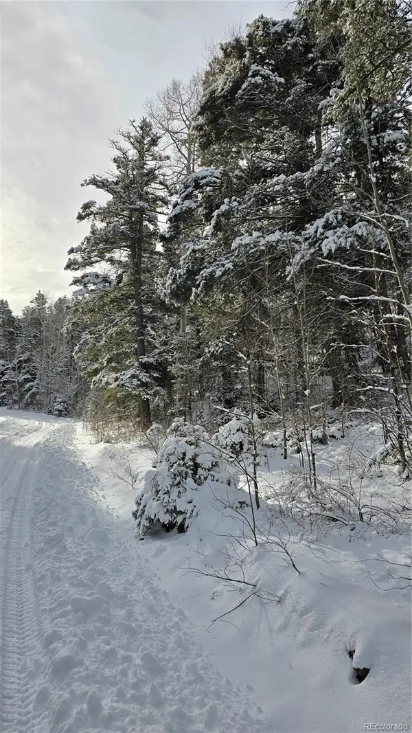 Lot 5540 Joy Road, Fort Garland, CO 81133