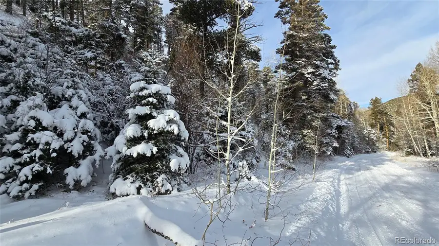 Lot 5540 Joy Road, Fort Garland, CO 81133 - Image #3
