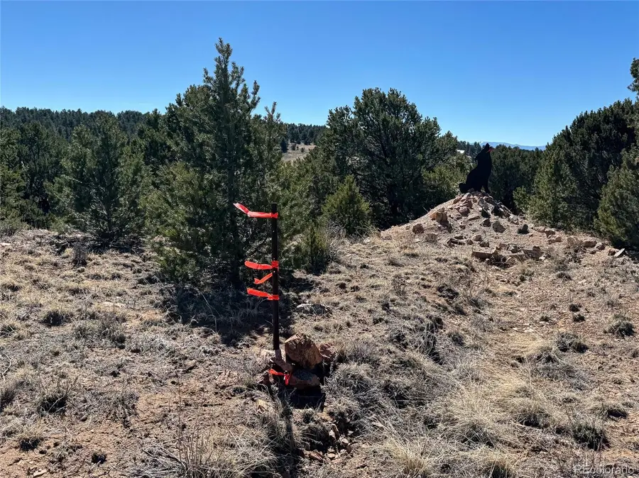 415 Kiowa Road, Westcliffe, CO 81252 - #3