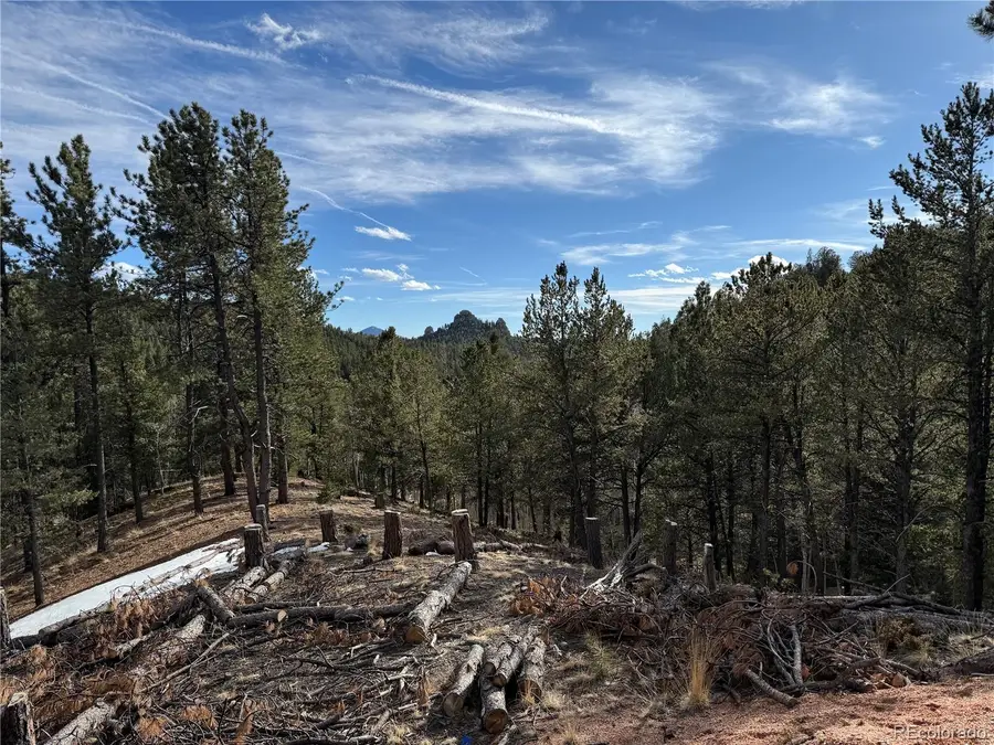 162 Eagle Drive, Divide, CO 80813 - #2