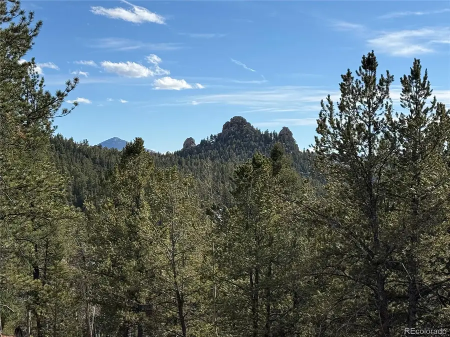 162 Eagle Drive, Divide, CO 80813 - #3