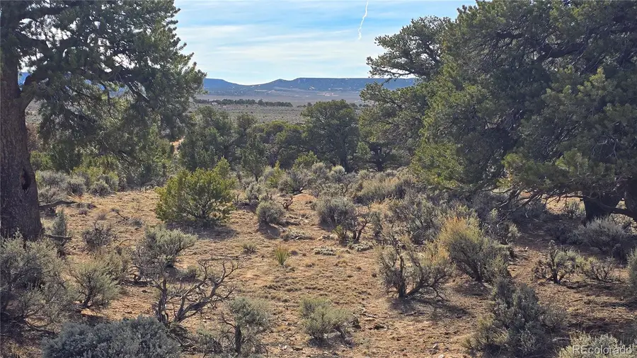 Lot 7293 Barker Road, Fort Garland, CO 81133 - #2