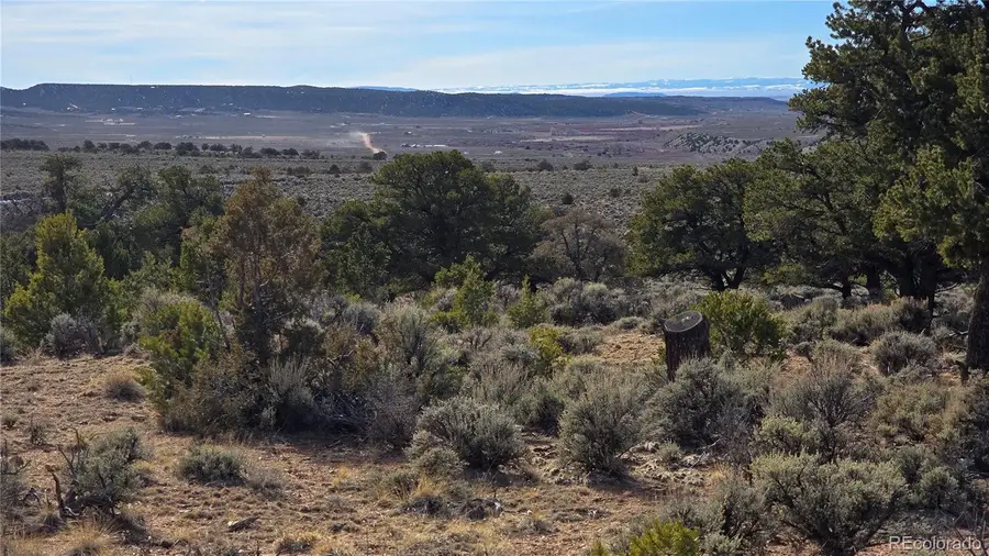 Lot 7293 Barker Road, Fort Garland, CO 81133 - #3