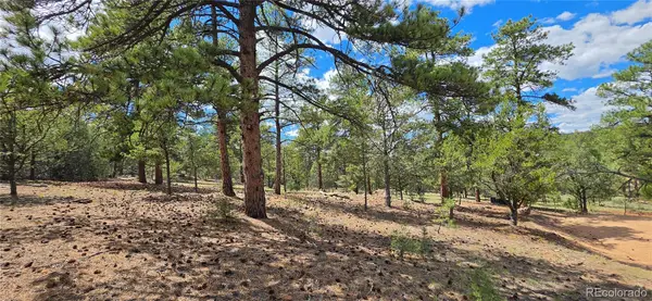638 Keith Lane, Cotopaxi, CO 81223