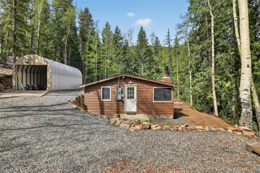 647 Old Little Bear Creek Road, Idaho Springs, CO 80452 - #2