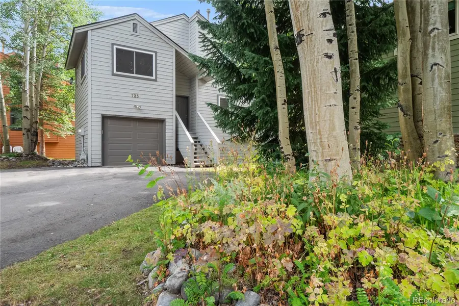 723 Hunters Circle, Frisco, CO 80443 - #2