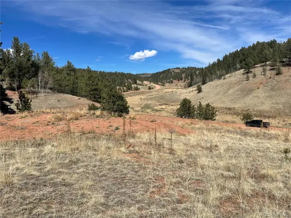 323 Gold King Drive, Cripple Creek, CO 80813
