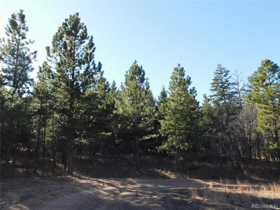 6294 Troon Court, Larkspur, CO 80118 - Image #3