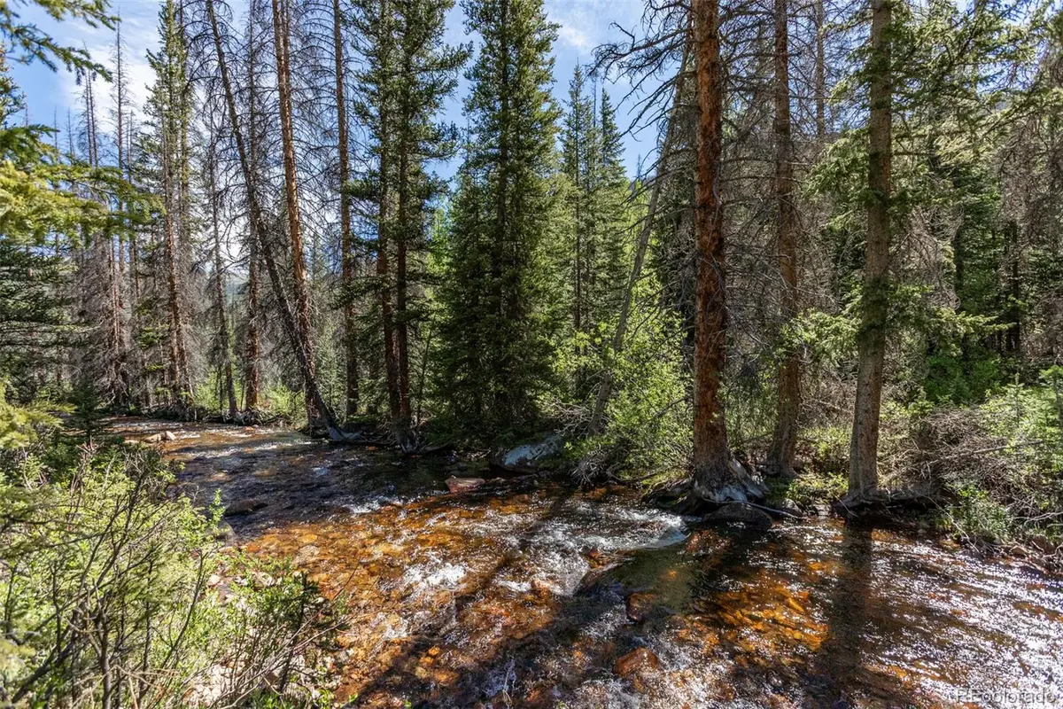 18990 Cr-294, Nathrop, CO 81236 - #1