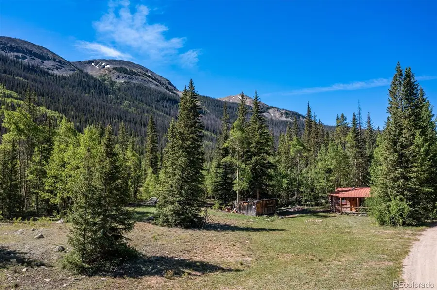 18990 Cr-294, Nathrop, CO 81236 - #3