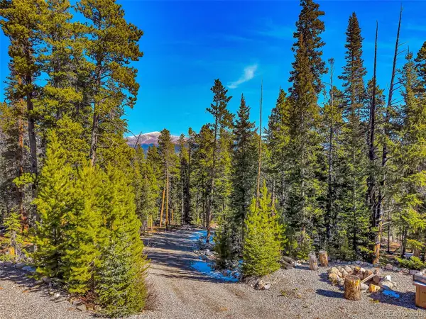 454 Dry Gulch Road, Fairplay, CO 80440