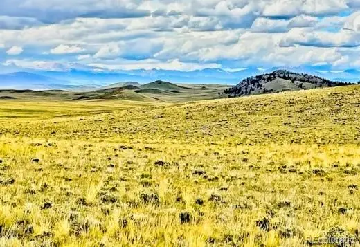 123 Chickamauga Trail, Hartsel, CO 80449
