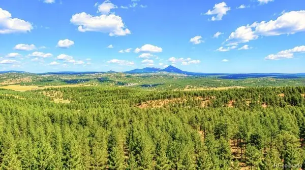 196 Freeman Drive, Florissant, CO 80816