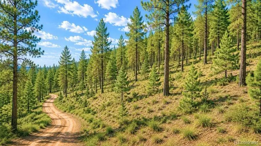 196 Freeman Drive, Florissant, CO 80816 - #2