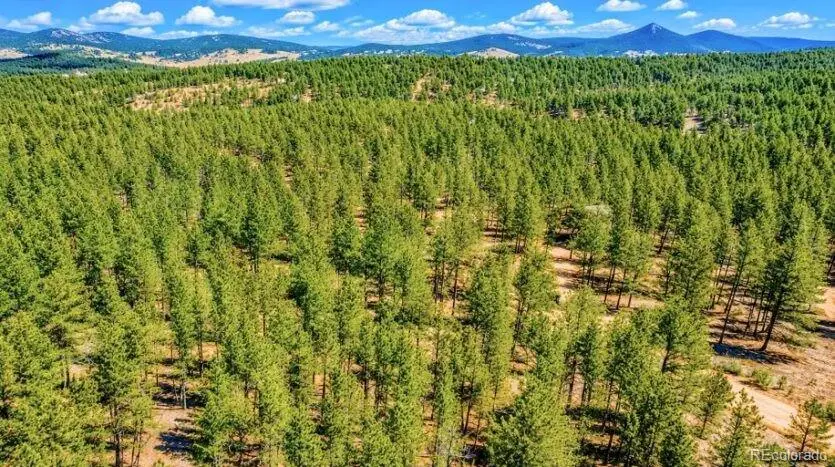 196 Freeman Drive, Florissant, CO 80816 - #3