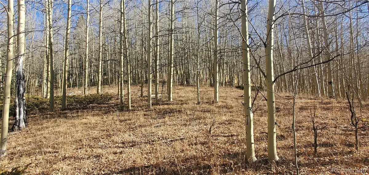 Lot's 6414 & 6415 Bronfman Road, Fort Garland, CO 81133 - Image #1