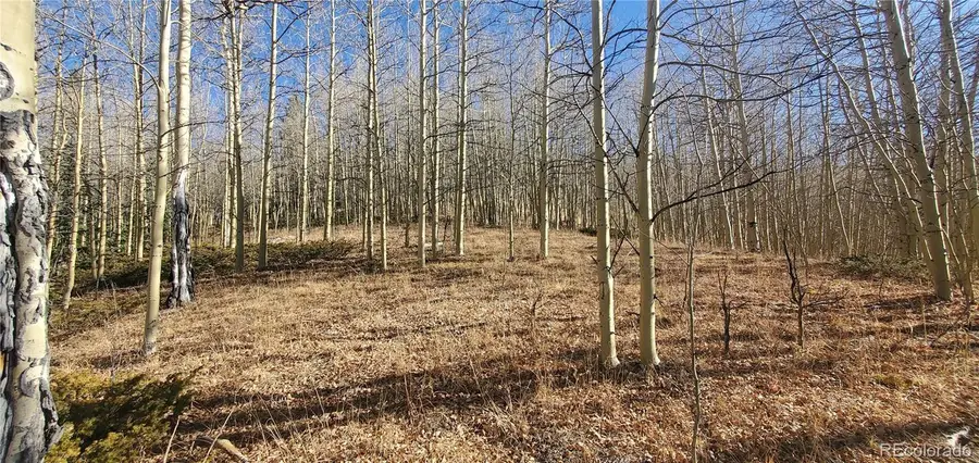 Lot's 6414 & 6415 Bronfman Road, Fort Garland, CO 81133 - Image #3