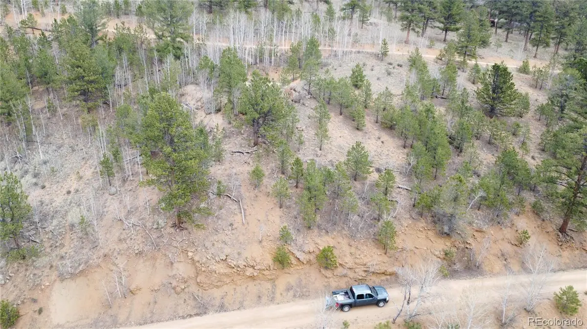 381 Neish Street, Bailey, CO 80421 - #1