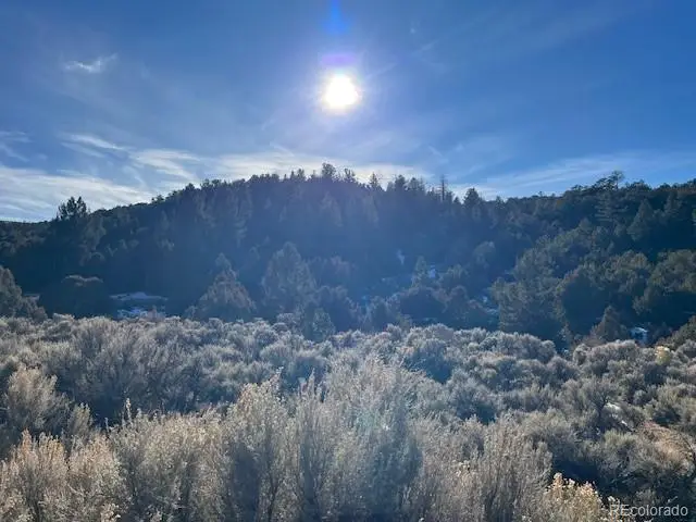 Lot 6016 Forbes Road, San Luis, CO 81152 - #3