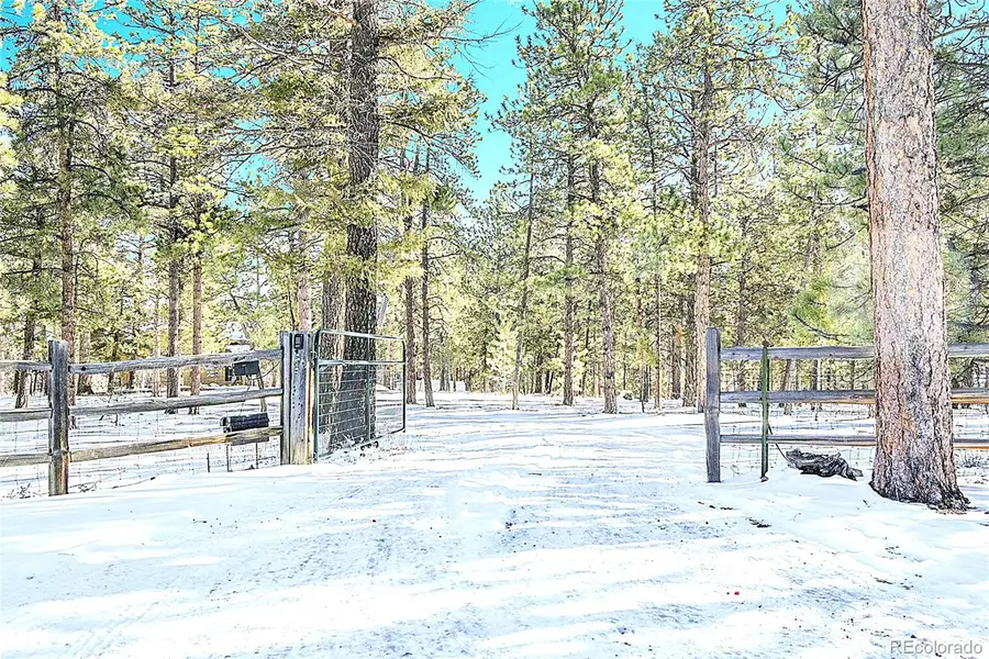 270 Dawson Road, Pine, CO 80470 - Image #2