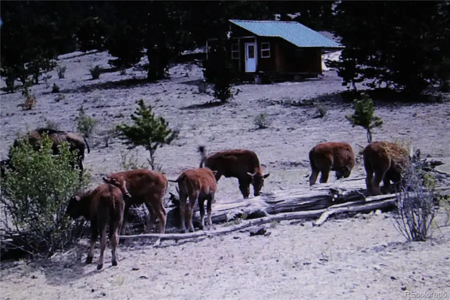 79 Quail Court, Hartsel, CO 80449 - #2