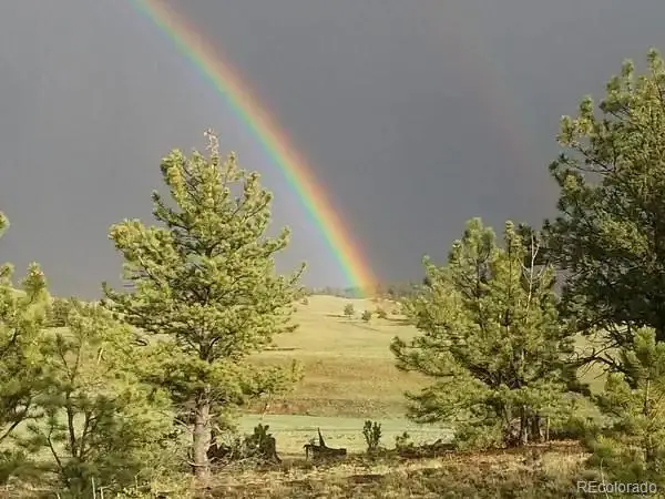 79 Quail Court, Hartsel, CO 80449 - #3