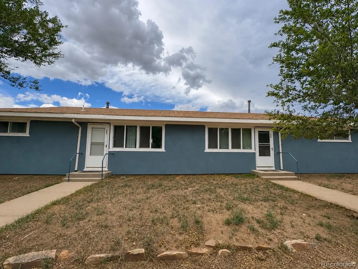 601 & 603 Virginia, La Veta, CO 81055 - #1