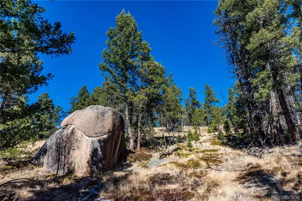 0 Arrowhead Road, Florissant, CO 80816