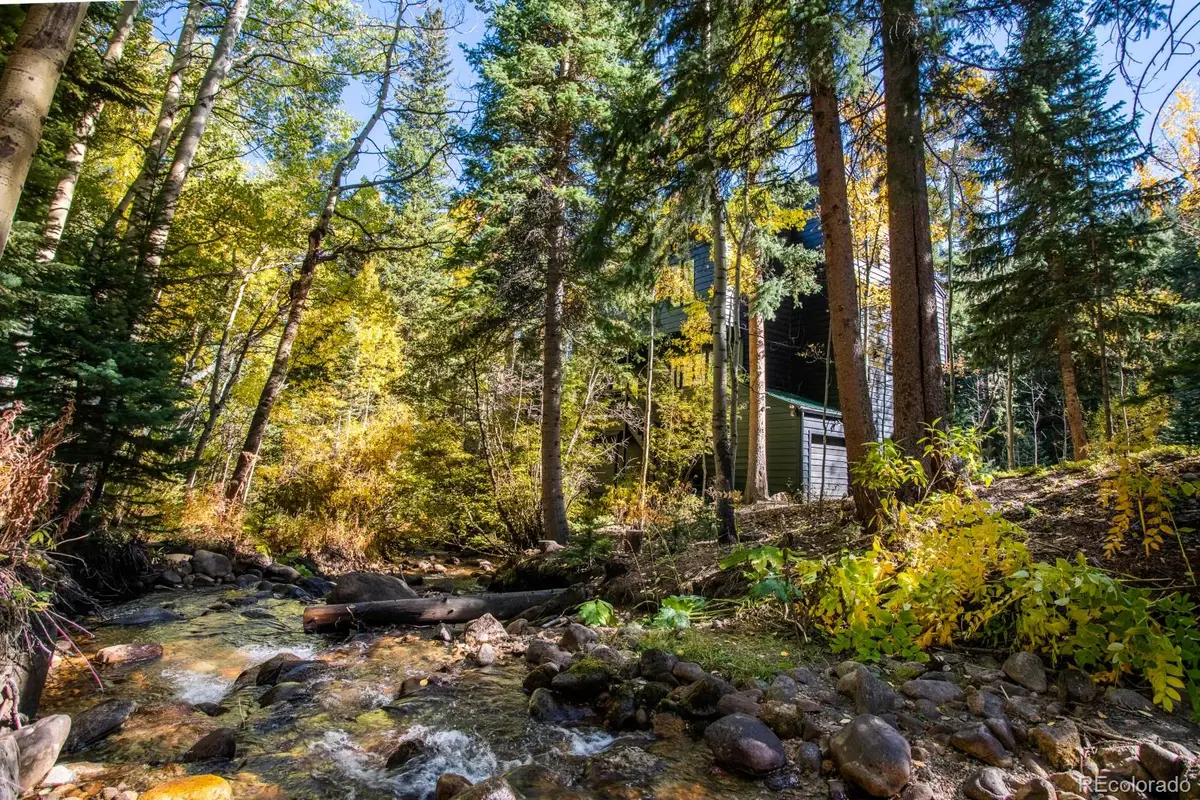48 Moss Lane, Dumont, CO 80436 - #1