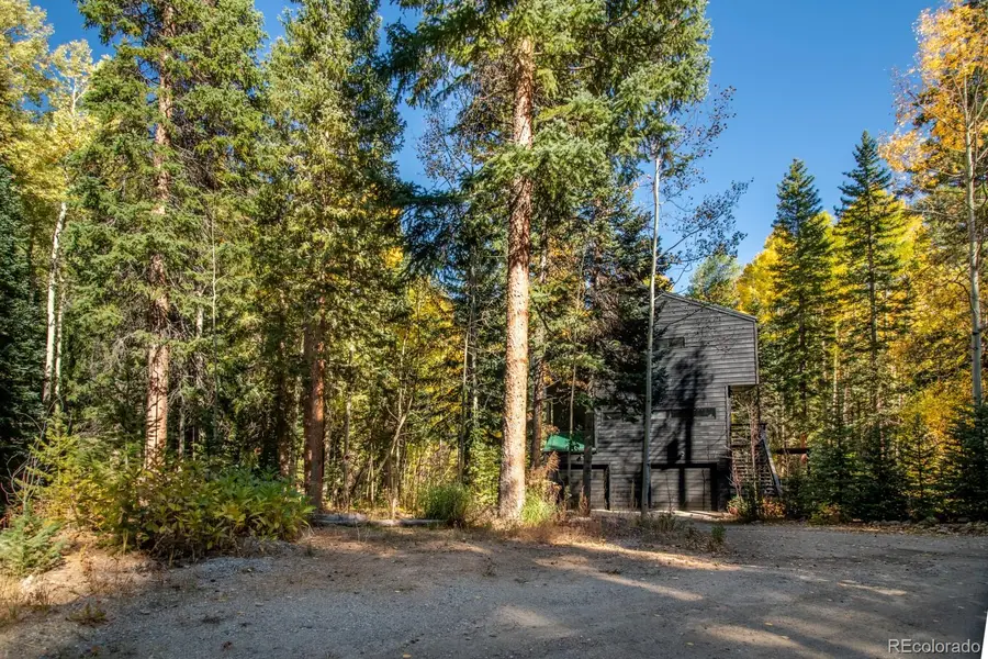48 Moss Lane, Dumont, CO 80436 - #3