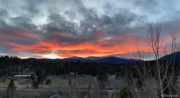 203 Gold Flake Terrace, Bailey, CO 80421