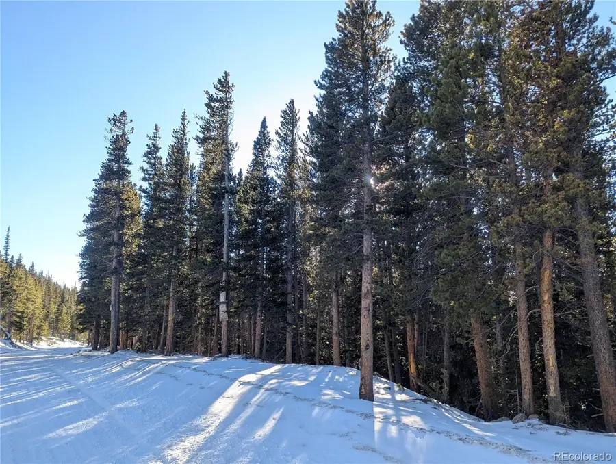 Crest Drive, Idaho Springs, CO 80452 - Image #2