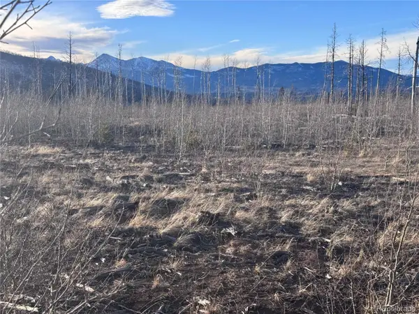 Lot 1290 Clayton Road, Fort Garland, CO 81133