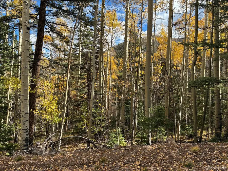 LOT 5366 Sledgers, San Luis, CO 81152 - #3