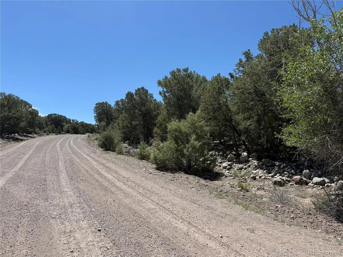 2150 Indian Well Way, Crestone, CO 81131 - #1