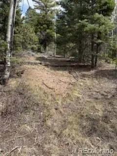 Lot 2711 Sleger Road, Fort Garland, CO 81133 - #1